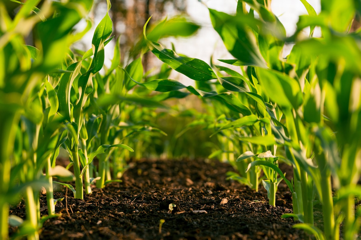 Agri-Intelligence Platform